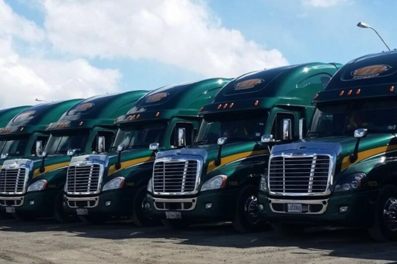 VTL Express et M.V. Express annoncent l’acquisition de 32 camions article image
