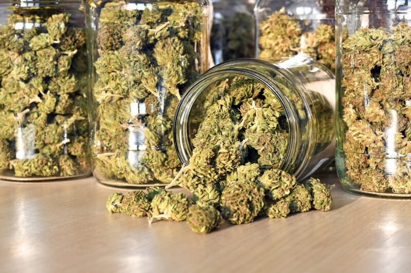 Flou juridique autour du transport de cannabis article image