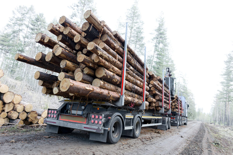 Forêt au Saguenay/Lac-St-Jean : Les camionneurs refusent de tenir à eux seuls l’industrie à bout de bras article image
