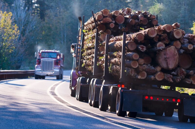 Formation subventionnée en transport forestier article image