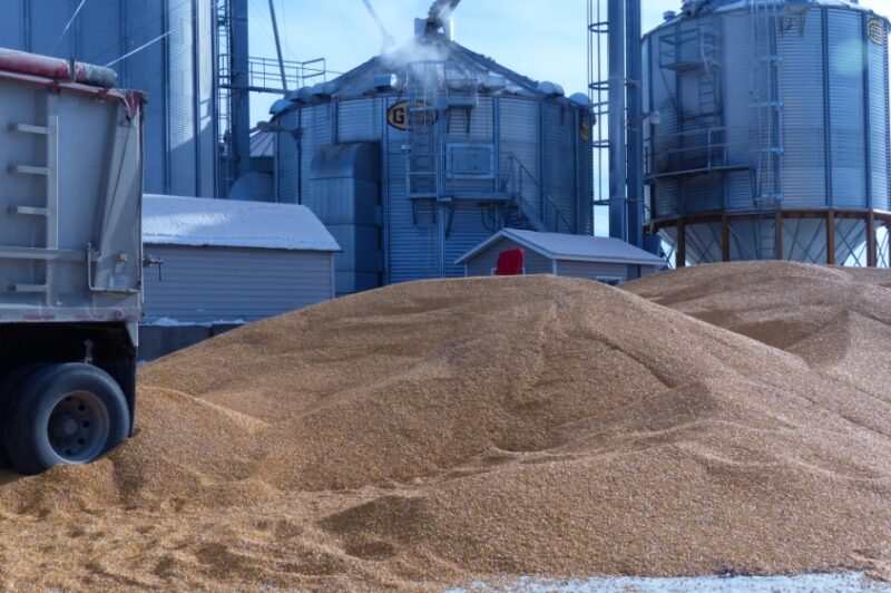 Mort évitable lors d’un déchargement de grains, conclut la CNESST article image