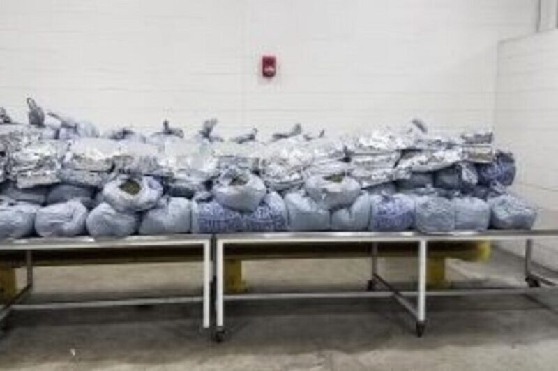 La CBP saisit 440 livres de khat dans un camion article image