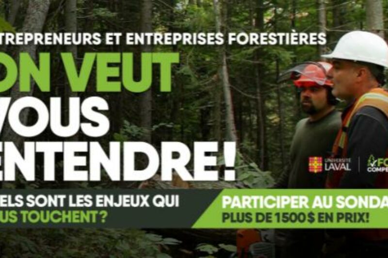 Entreprises du transport forestier recherchées pour une étude article image