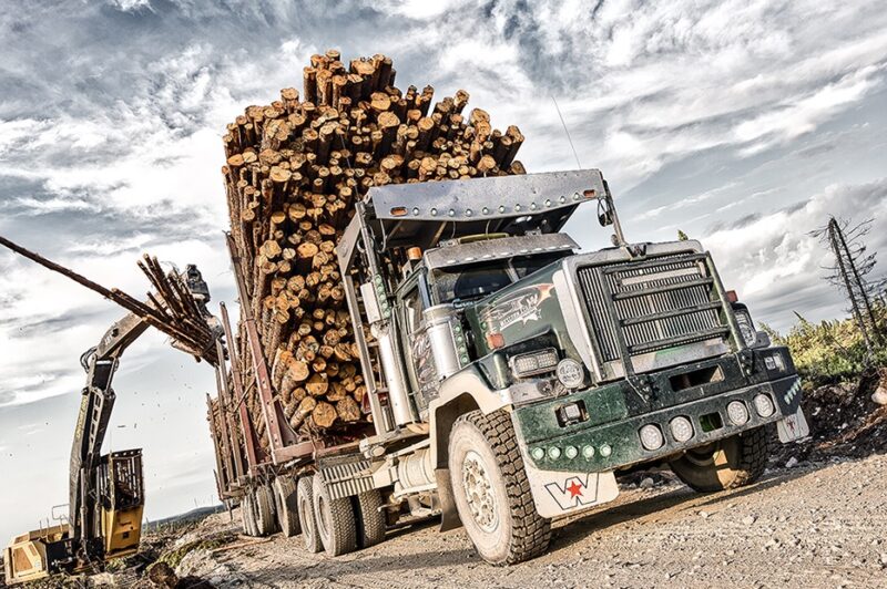<strong>Incendies : les camionneurs forestiers subissent de lourdes pertes</strong> article image