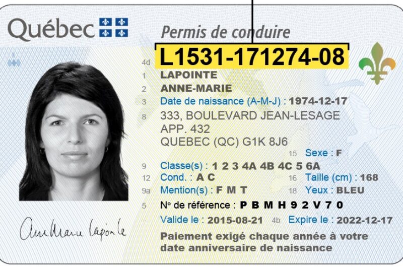 <strong>Prolongation de l’utilisation de la photo actuelle sur les permis de conduire</strong> article image