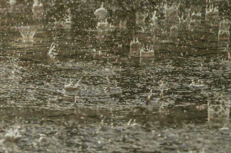 <strong>Fermeture de la route 170 à Rivière-Éternité suite aux pluies torrentielles</strong> article image
