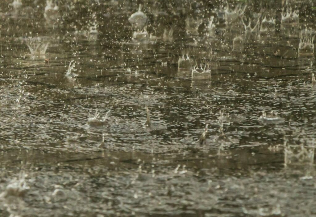 Forte pluie tombe sur la route