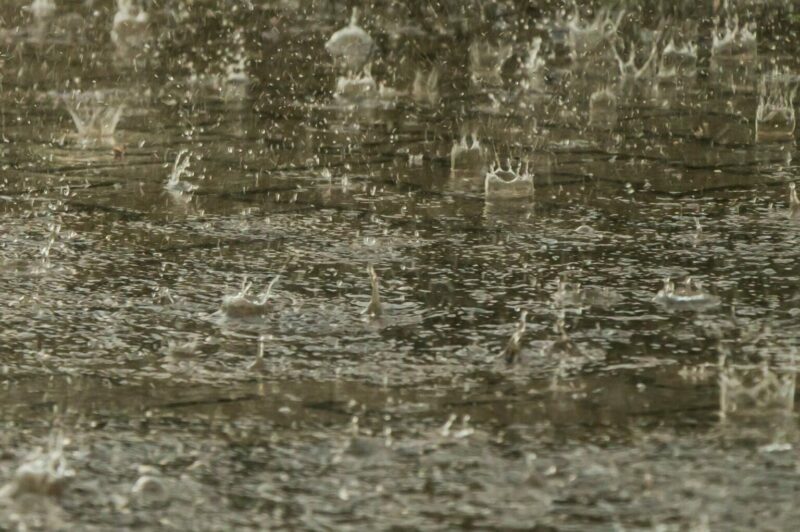 <strong>Liste des routes et des ponts de la région de Québec fermés en raison des pluies torrentielles</strong> article image