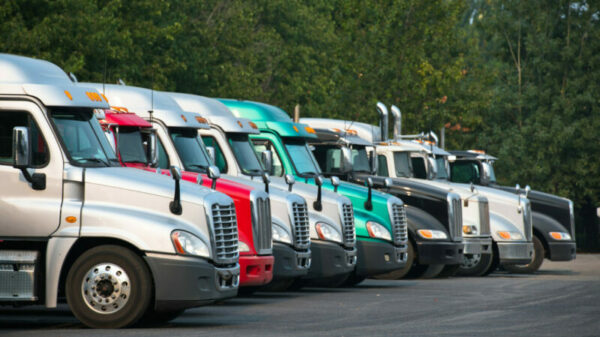 Different Big rig semi trucks tractors stand in row on parking lot with green trees alternate text for this image
