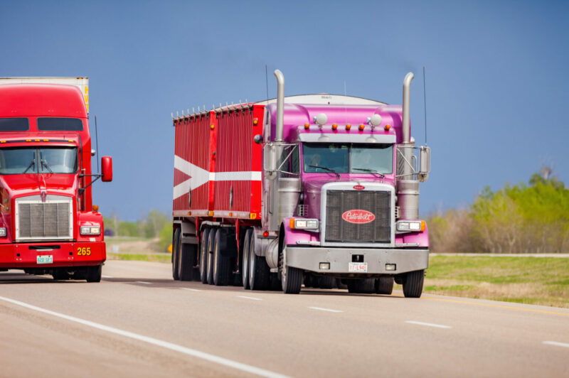 Comment les courtiers d'assurance gèrent les cas d’entreprises qui « oublient » de déclarer des camions article image