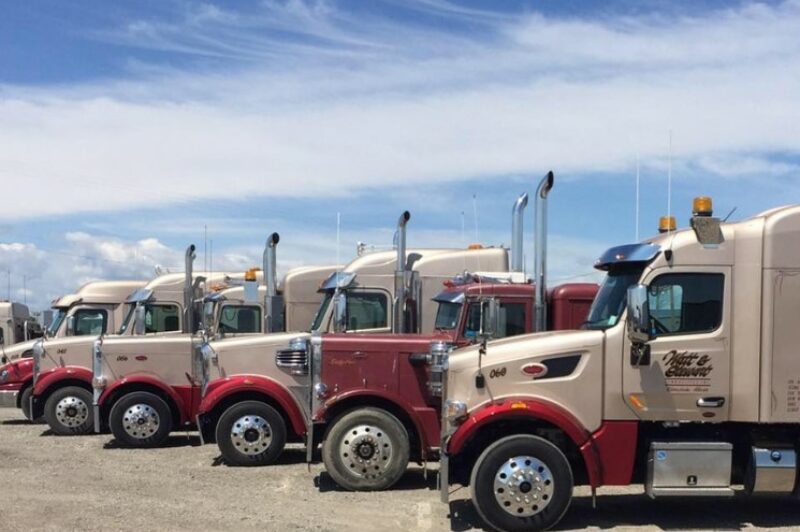 Trimac acquiert le transporteur à remorques à plateau Watt & Stewart article image