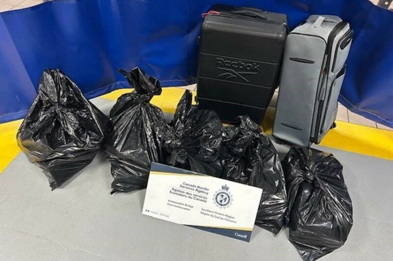 187,5 kilos de cocaïne saisis à la frontière du pont Ambassador article image