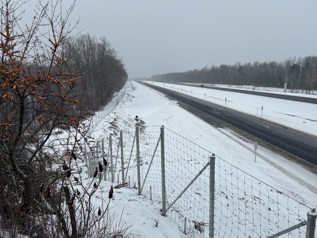 Clôture anti-cervidés sur l’autoroute 55