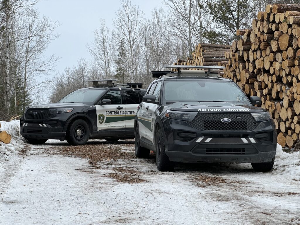 Auto-patrouilles de contrôle routier à côté de billots de bois empilés