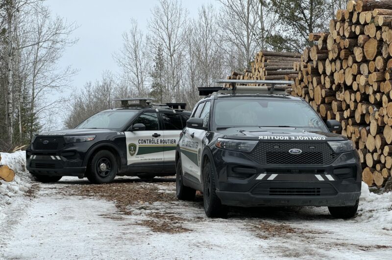 Transport forestier : opération conjointe au Bas-Saint-Laurent pour contrer les surcharges article image