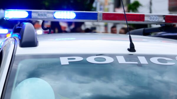 police-credit-pixabay alternate text for this image