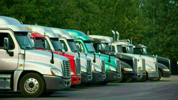 Different Big rig semi trucks tractors stand in row on parking lot with green trees alternate text for this image