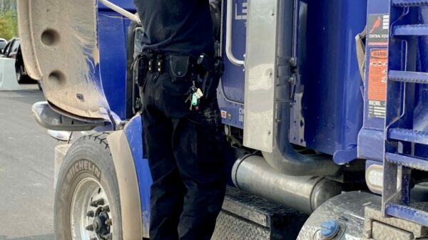 Roadcheck-officer-on-step-Taraso-1152×1536-1 alternate text for this image