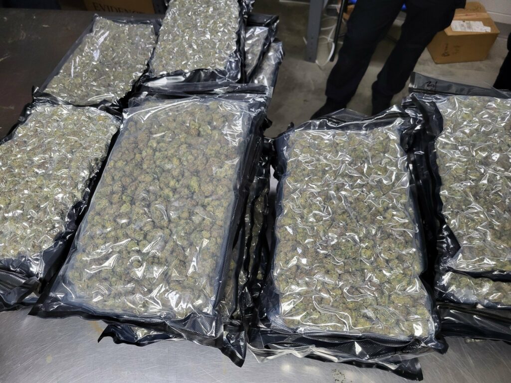Sacs de cannabis de contrebande