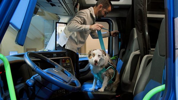 Volvo-Pet-Safety-cab-1536×864 crédit VTNA alternate text for this image