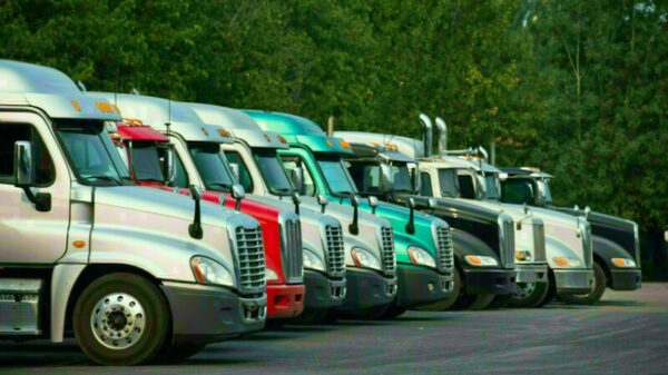 Different Big rig semi trucks tractors stand in row on parking lot with green trees alternate text for this image